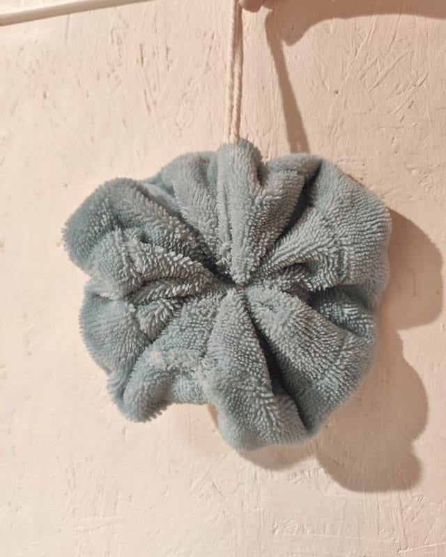 Fleur de douche philippina creatio